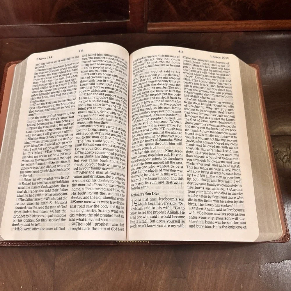 NCV Giant Print Holy Bible New Century Version Brown Leather Thomas Nelson 2007